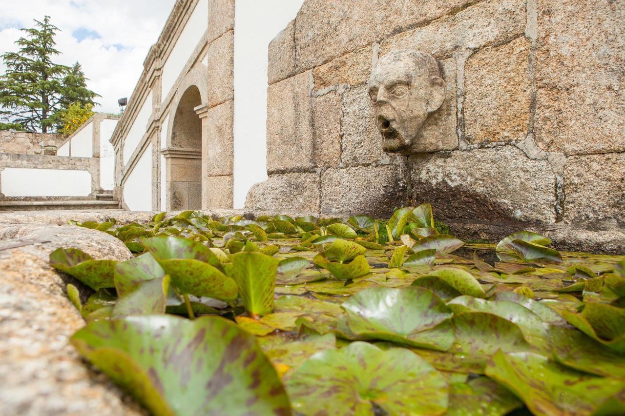 Casa De Quinta Villa Marco de Canavezes Eksteriør billede